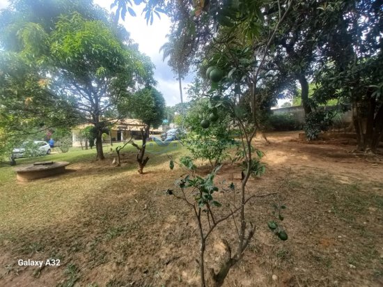 chacara-venda-chacara-vila-nossa-senhora-de-fatima-igarape-1120348