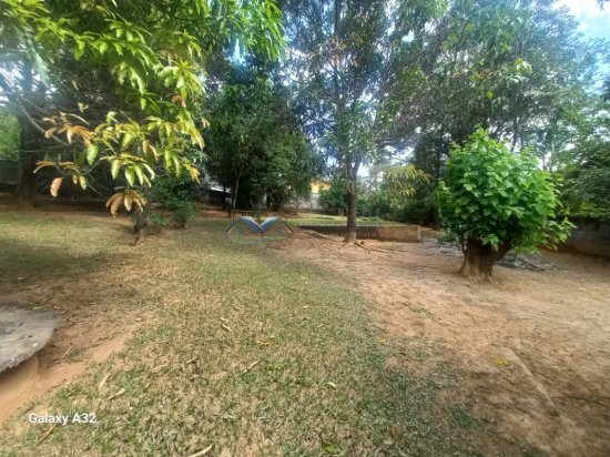 chacara-venda-chacara-vila-nossa-senhora-de-fatima-igarape-1120350