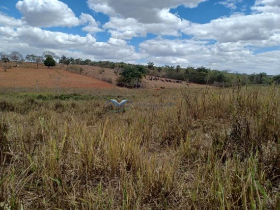 fazenda-venda-corrego-danta-mg-579249