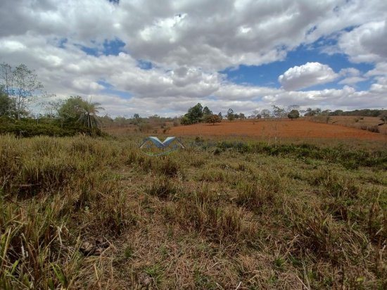 fazenda-venda-corrego-danta-mg-579251