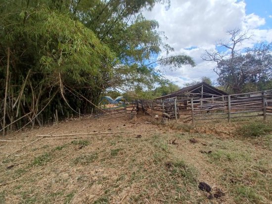 fazenda-venda-corrego-danta-mg-579252