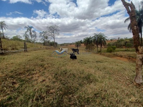 fazenda-venda-corrego-danta-mg-579253