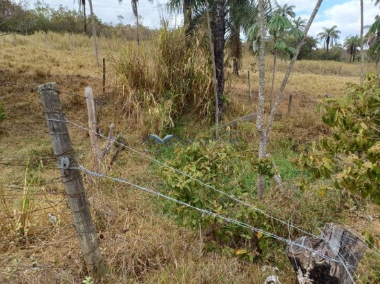 fazenda-venda-corrego-danta-mg-579254