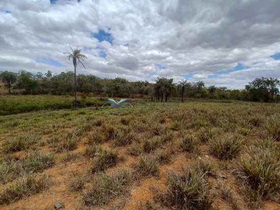 fazenda-venda-corrego-danta-mg-579255