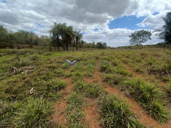 fazenda-venda-corrego-danta-mg-579256