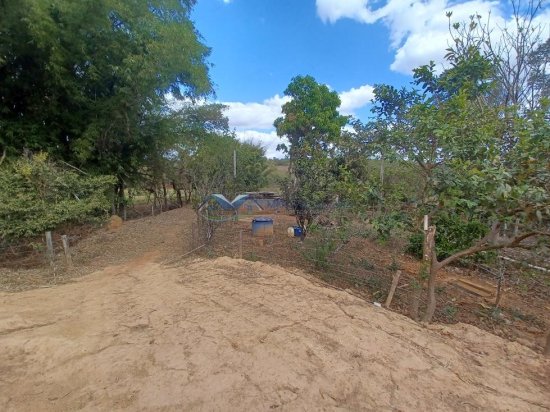 fazenda-venda-corrego-danta-mg-579241