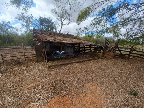 fazenda-venda-corrego-danta-mg-579243