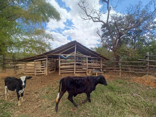 fazenda-venda-corrego-danta-mg-579245