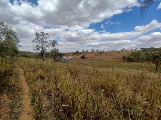 fazenda-venda-corrego-danta-mg-579247