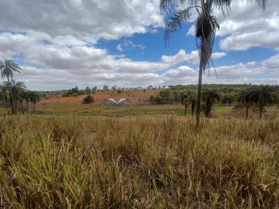 fazenda-venda-corrego-danta-mg-579248