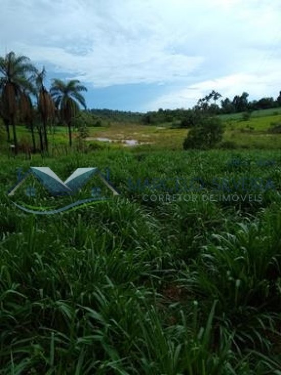 fazenda-venda-corrego-danta-mg-579273