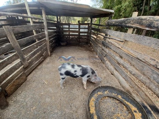 fazenda-venda-corrego-danta-mg-579277