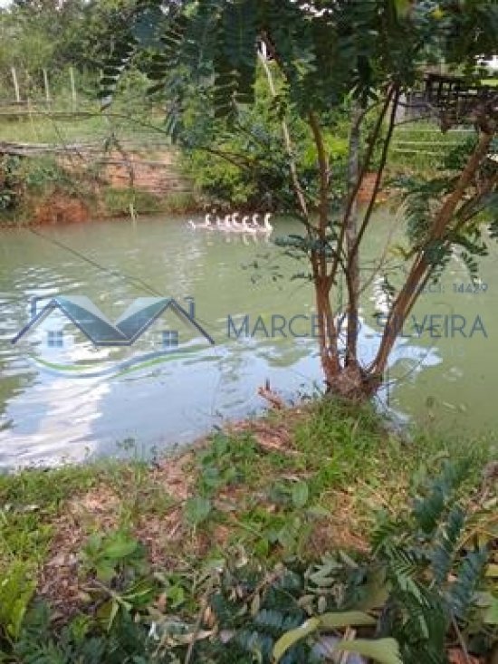 fazenda-venda-corrego-danta-mg-579283