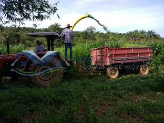 fazenda-venda-corrego-danta-mg-579286